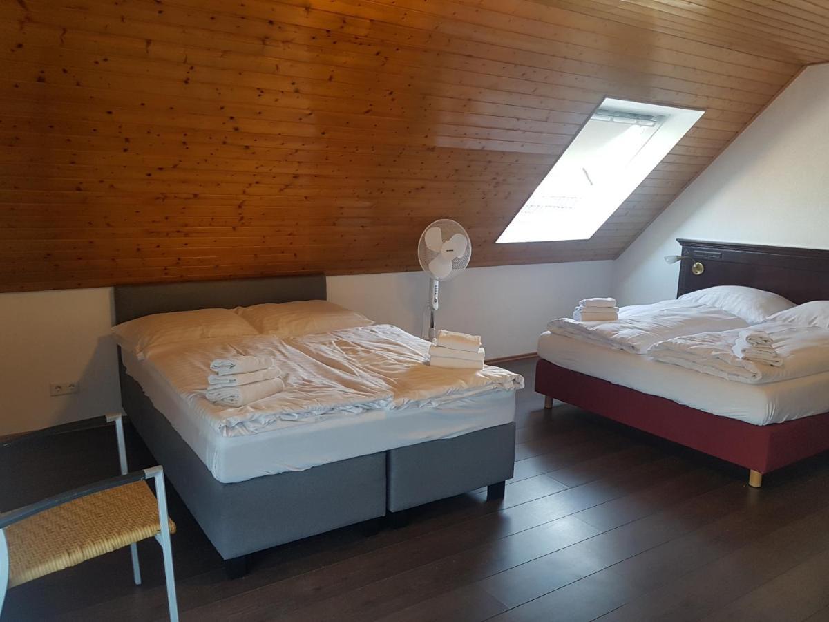Eisberg Gaestehaus & De Luxe Appartements ฟรีเซนไฮม์ ภายนอก รูปภาพ